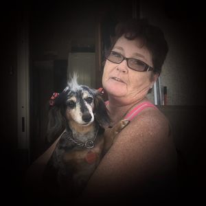 Meet your Posher, Shelley